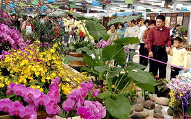 第六届海峡两岸 福建漳州 花卉博览会