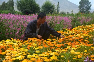 金佛寺镇花卉种植基地_肃州党建